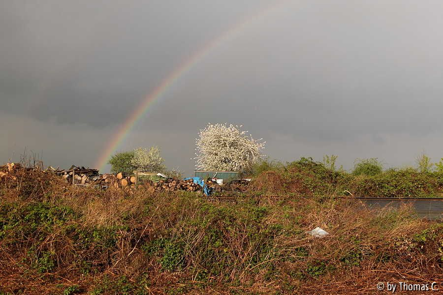 Over the rainbow