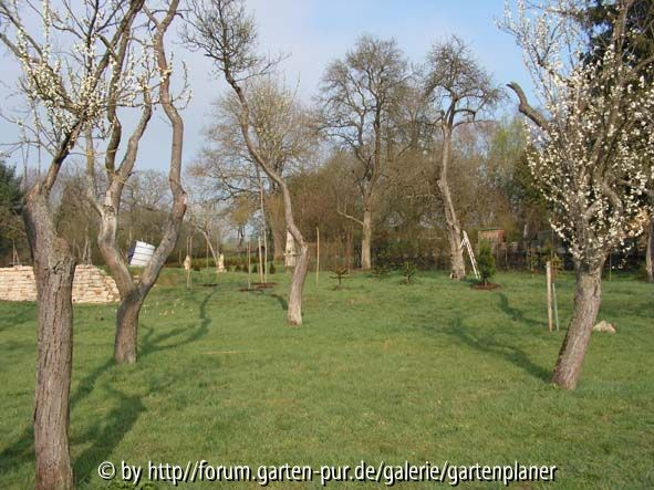 Gesamtblick Fossiliengarten von unten