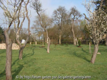Gesamtblick Fossiliengarten von unten