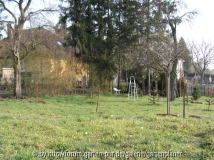 Blick zum Eibenhain