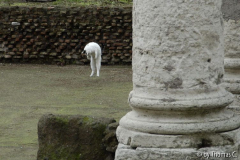 Rom Katzenforum 09