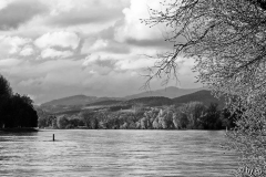 Donauland SW durch Silver Efex Pro 2 