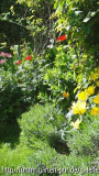 frühling 2012,01