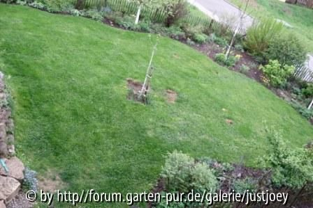 Neues Beet - aber wie? 2