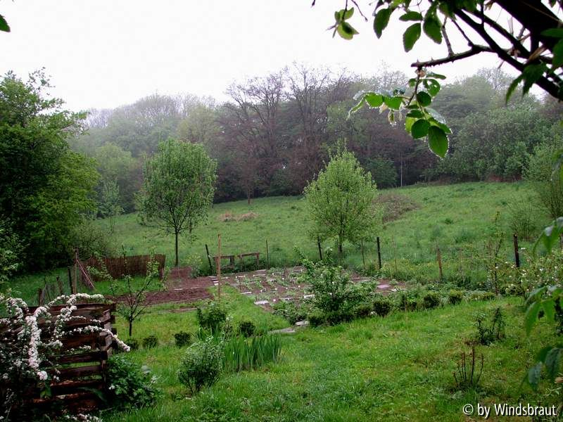 Gemüsegarten Mai 2012