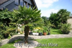 Botanischer Garten Mörse