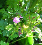 DSCN4164.JPG