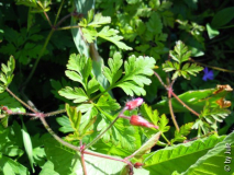 DSCN4163.JPG