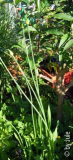 DSCN4162.JPG