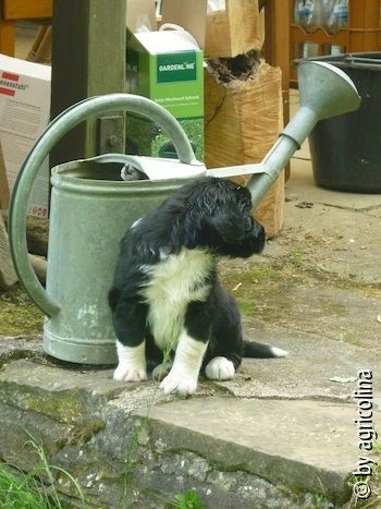 was machen die da hinten...?