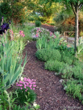 oberer Gartenweg Mai 2012