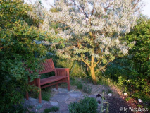 Sitzplatz oben Mai 2012
