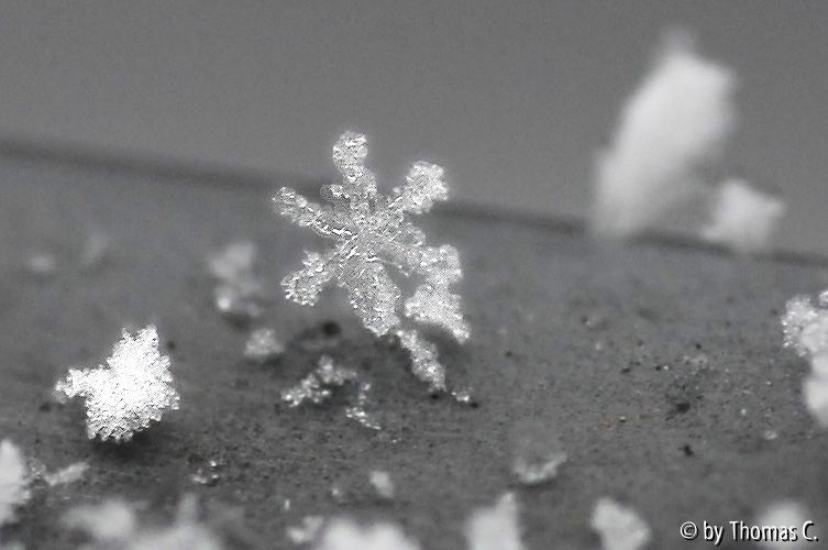 Schneekristalle 01
