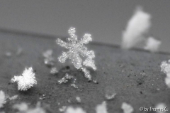 Schneekristalle 01