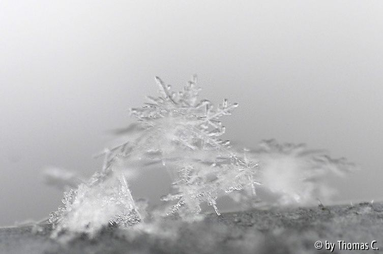 Schneekristalle 02
