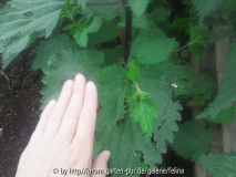 2012-06-01 09_30_56.jpg