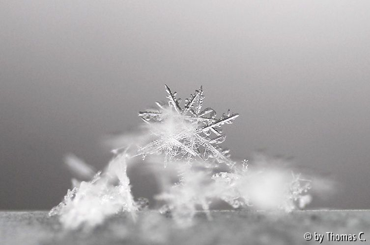 Schneekristalle 03