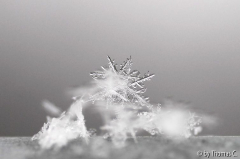 Schneekristalle 03