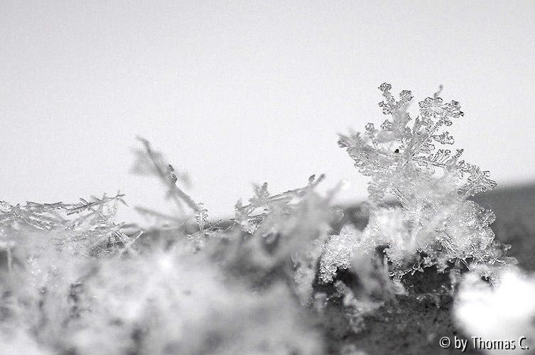 Schneekristalle 04