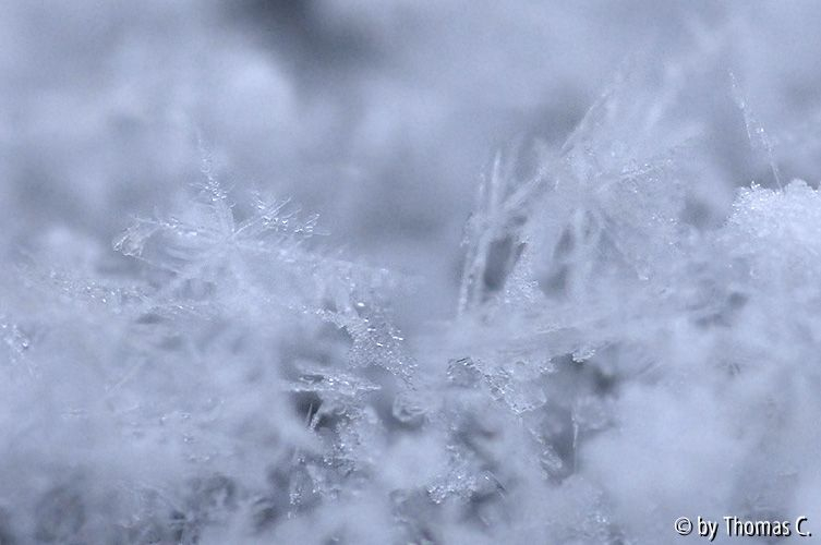 Schneekristalle 05