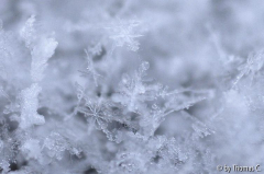 Schneekristalle 06