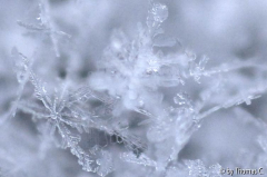Schneekristalle 07