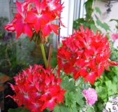 DSCN4686.JPG