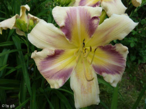 GT09-KL27_24