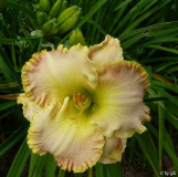 GT05-KL13_19