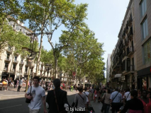 Barcelona7