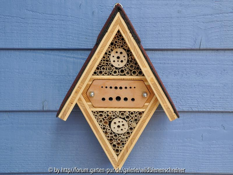 kombinierte Nist- und Beobachtungshilfe für Wildbienen - hohe Variante