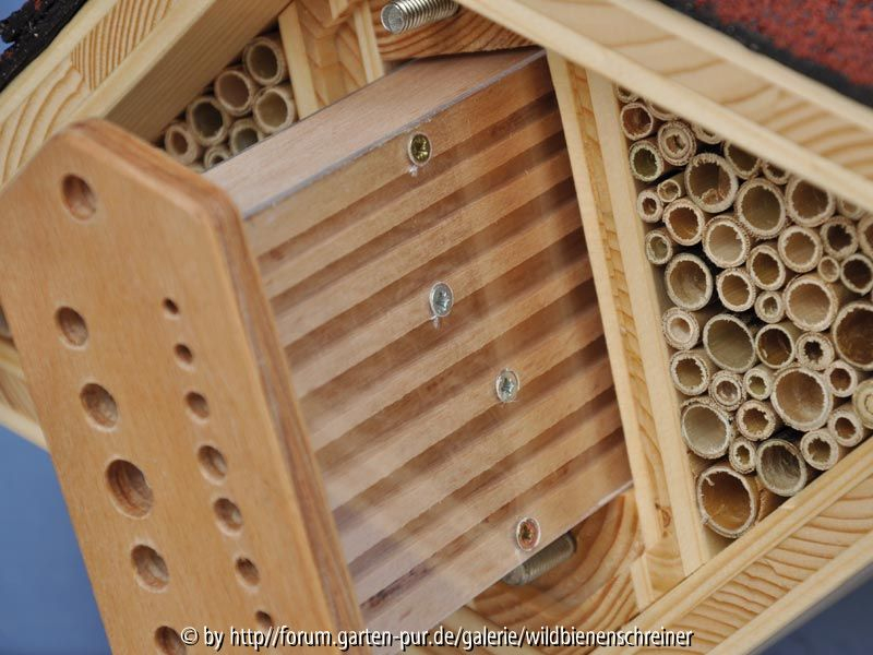 kombinierte Nist- und Beobachtungshilfe für Wildbienen - flache Variante