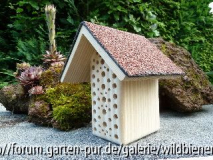 So nicht