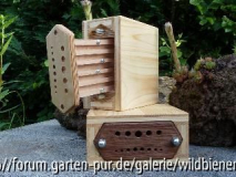 Wildbienenspion
