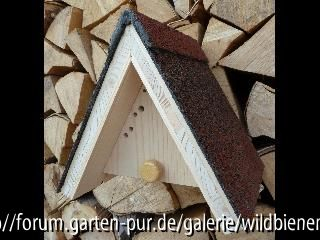 Beobachtungshilfe - runde Nisthölzer in Plexiglasrohren