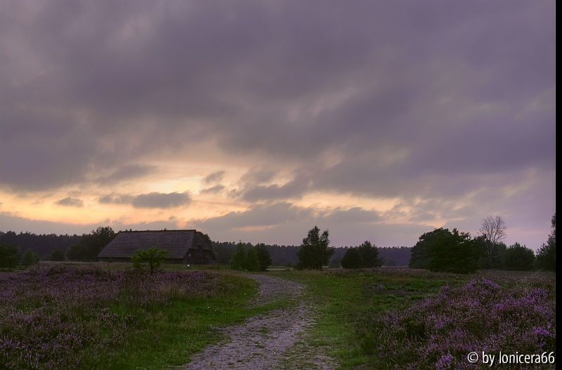 August Royberg Abenddämmerung