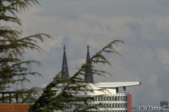 Kölner Westen - Blick Richtung Dom