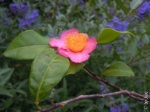 DSCN5532.JPG