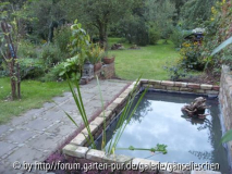 Becken mit Garten.JPG