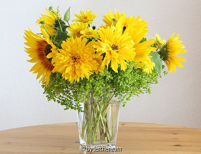 Sonnenblumen und andere gelbe Korbblüter