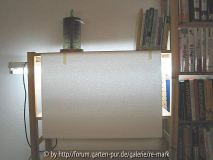 IMG_1206_tomaten_lichtbox.jpg