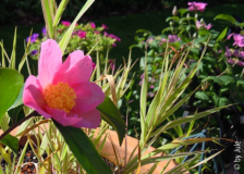 DSCN5693.JPG