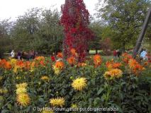 Dahlienschau Britzer Park