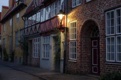 rosengarten.JPG