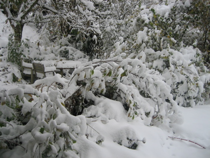 Schnee 28/10/12