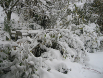 Schnee 28/10/12