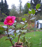 DSCN5946.JPG