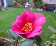 DSCN5944.JPG