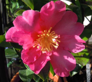DSCN5984.JPG