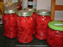 Quittenmus mit Holunderbeeren